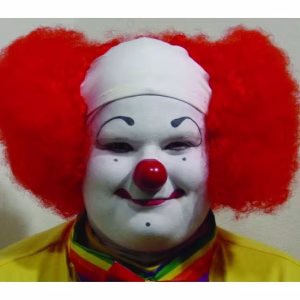 Bald Curly Clown Wig
