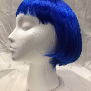 Eve Clown Wig