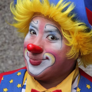 Fun Flip Clown Wig