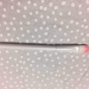Blush or Eye Shadow Brush