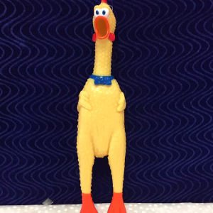 Champion Chicken