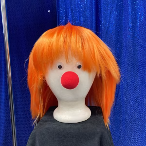 Silly Boy Clown Wig